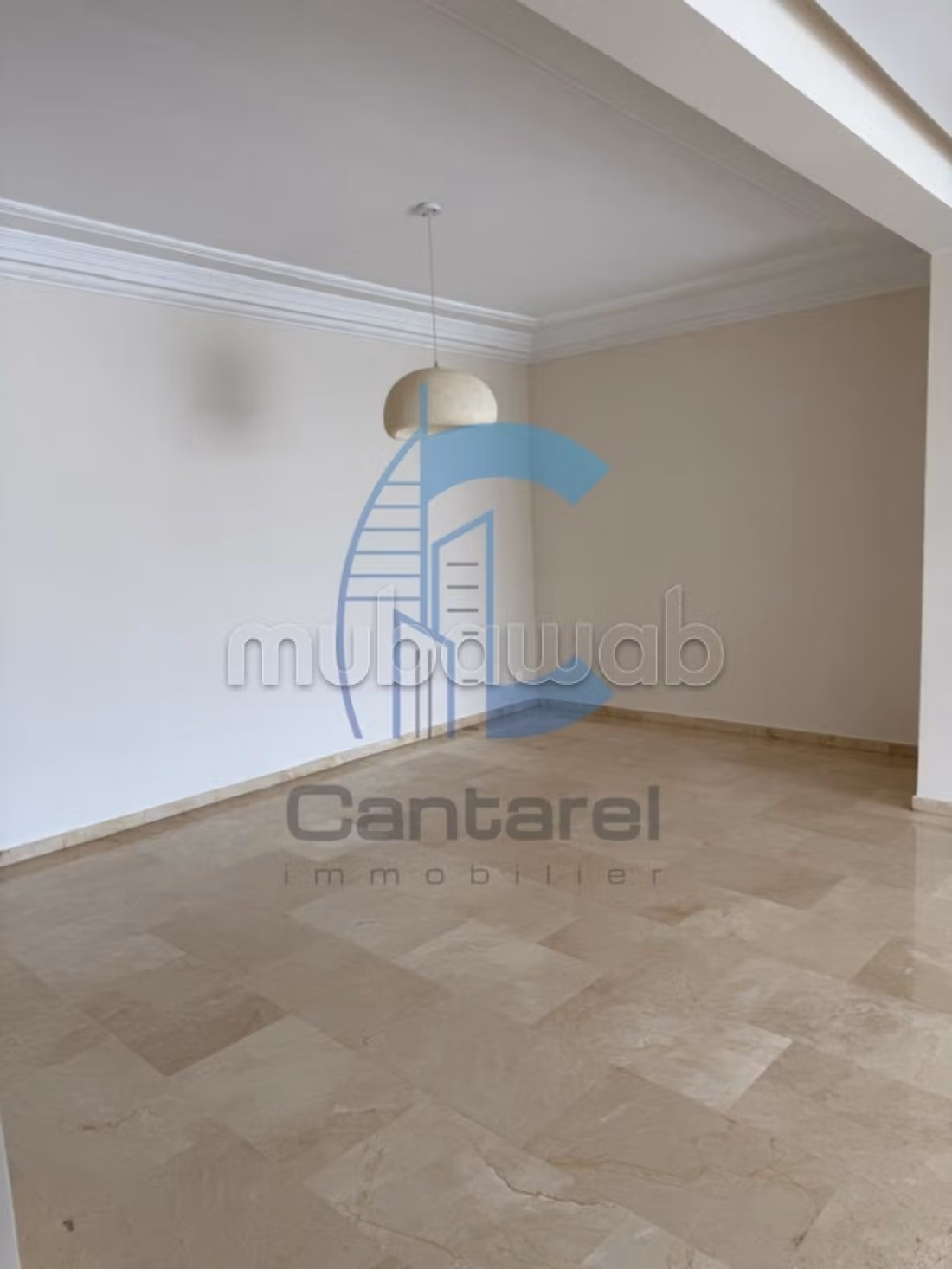 Location appartement racine