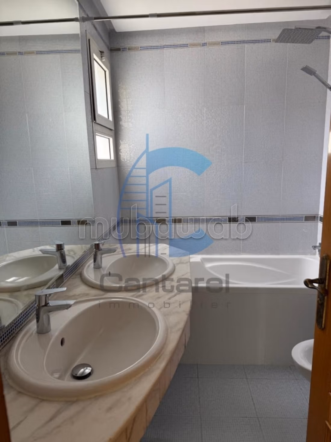 Location appartement racine