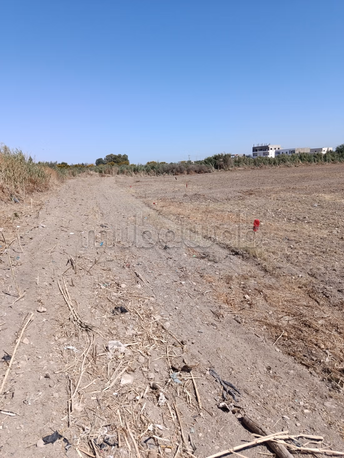 A vendre des lots à bejaoua 1 Oued ellil Manouba