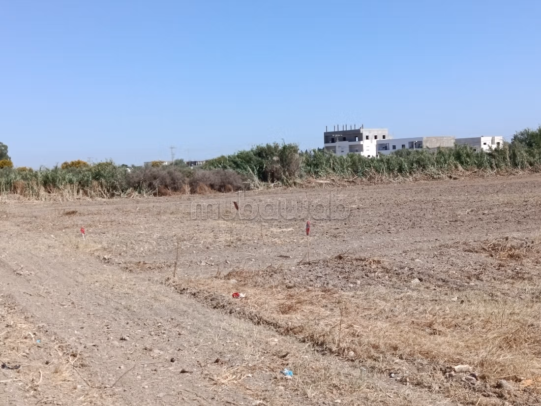 A vendre des lots à bejaoua 1 Oued ellil Manouba