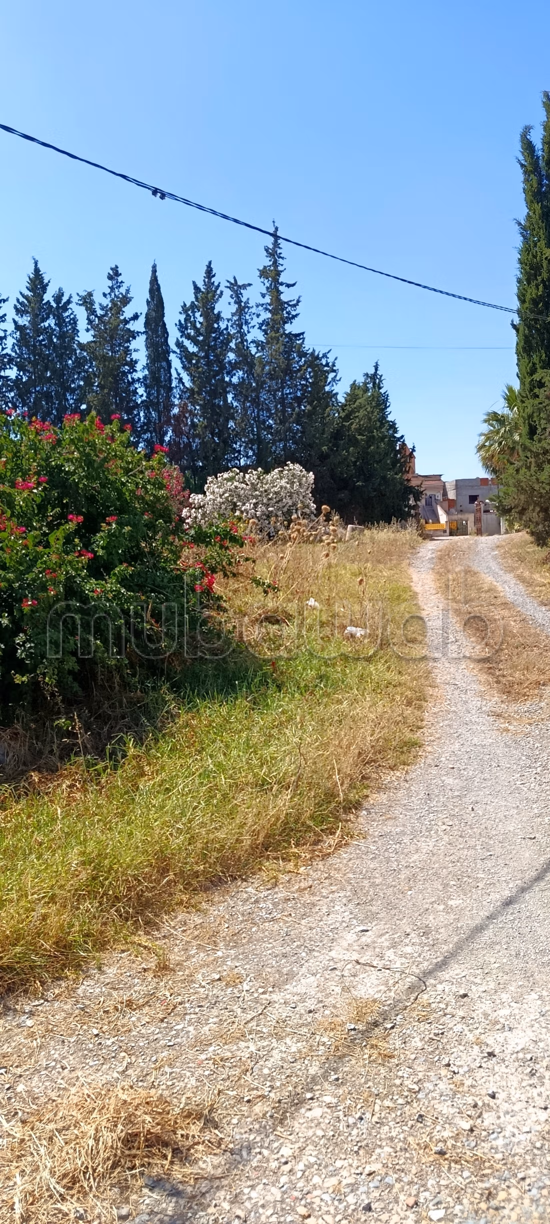 A vendre des lots à bejaoua 1 Oued ellil Manouba