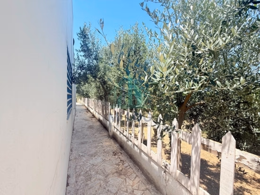 Fattoria di 3 ettari a Mornag