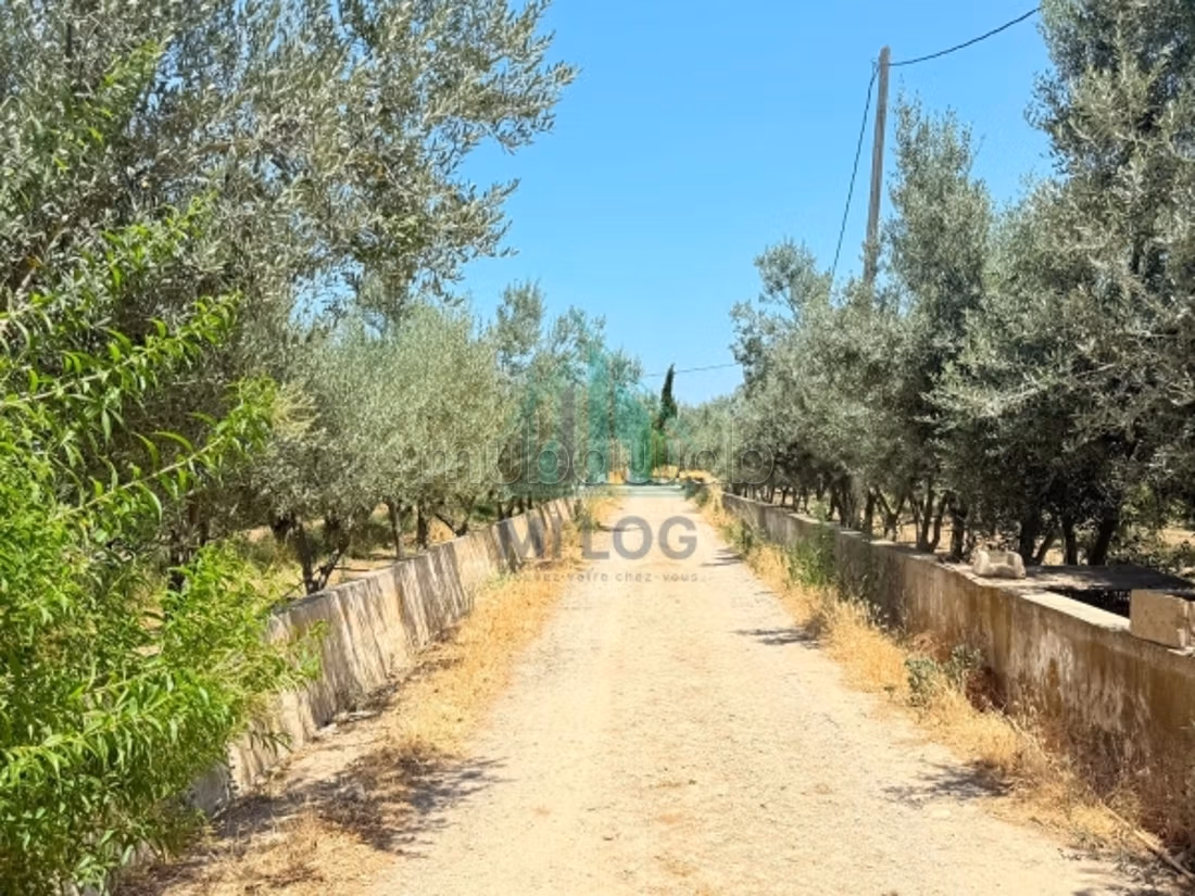 Fattoria di 3 ettari a Mornag