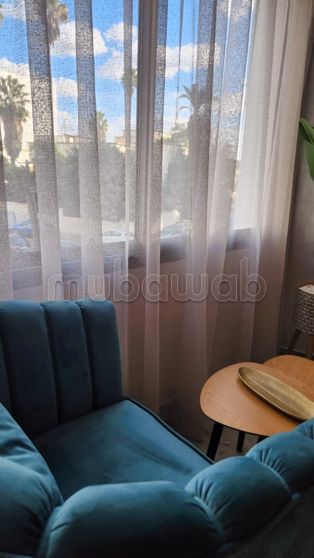 Louez cet appartement à Palmier.
1 chambre.
Meublé — 2