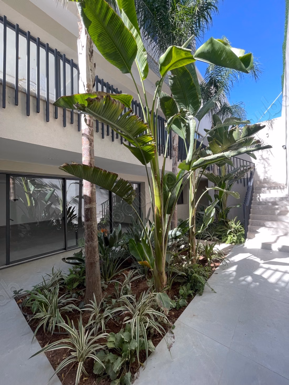 Villa Contemporanea di Prestigio - Amelkis 3