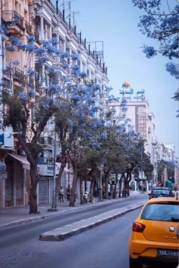 Appartement rue de la liberté 
tunis