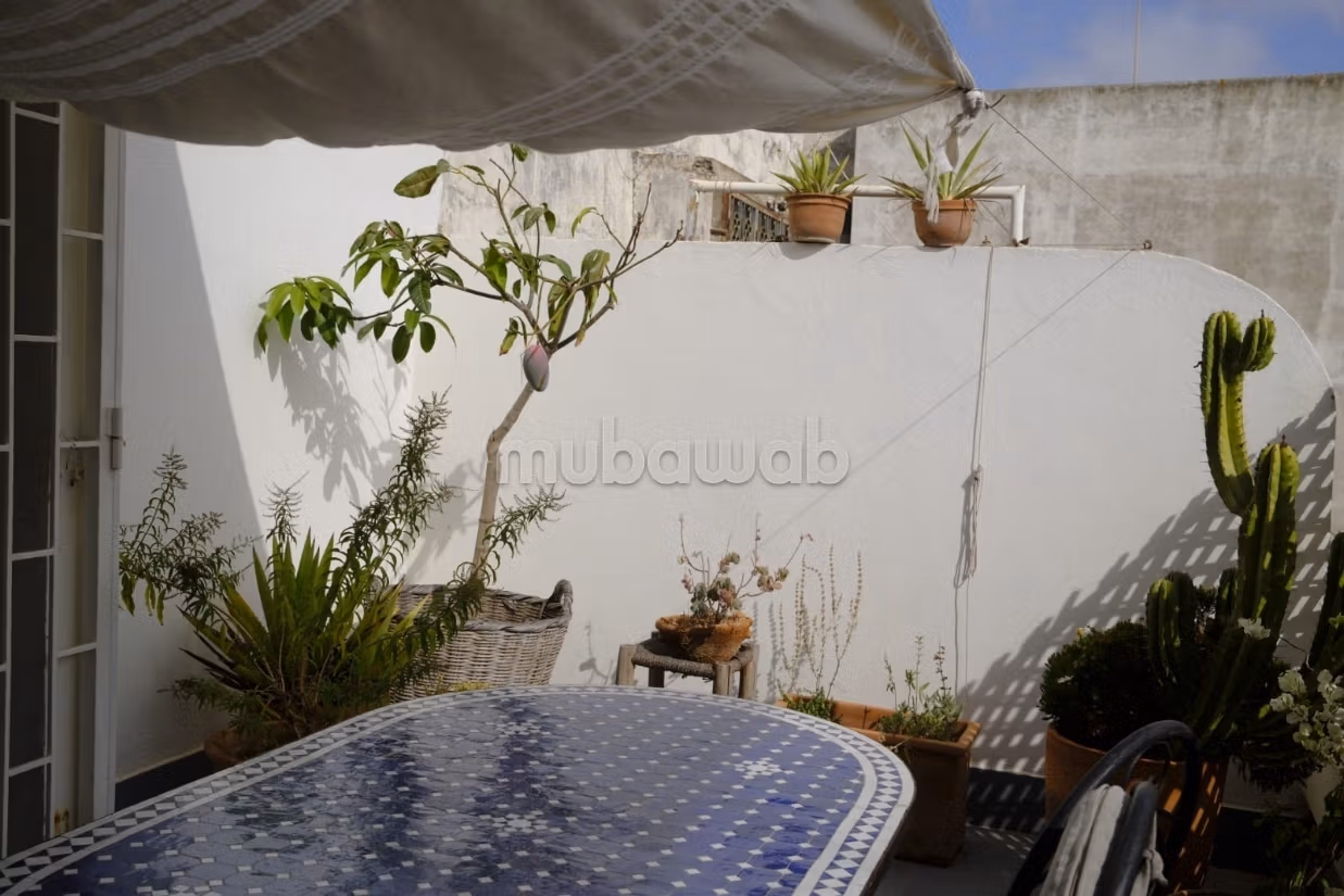 Superbe appartement à louer Hassan