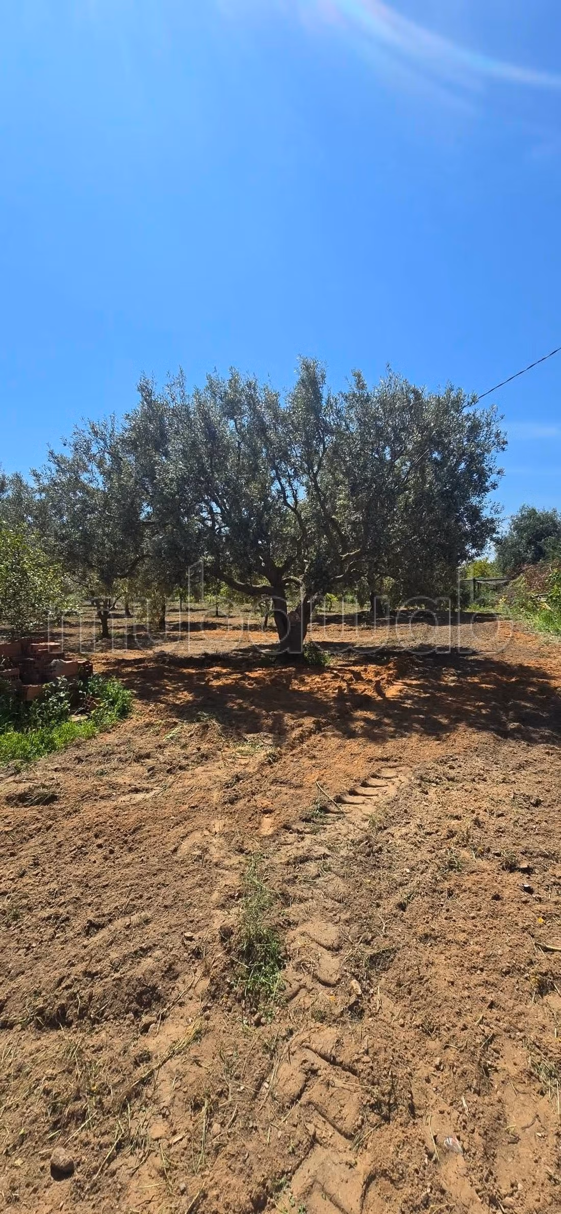 In vendita a Nabeul – El knayess, Terreno agricolo