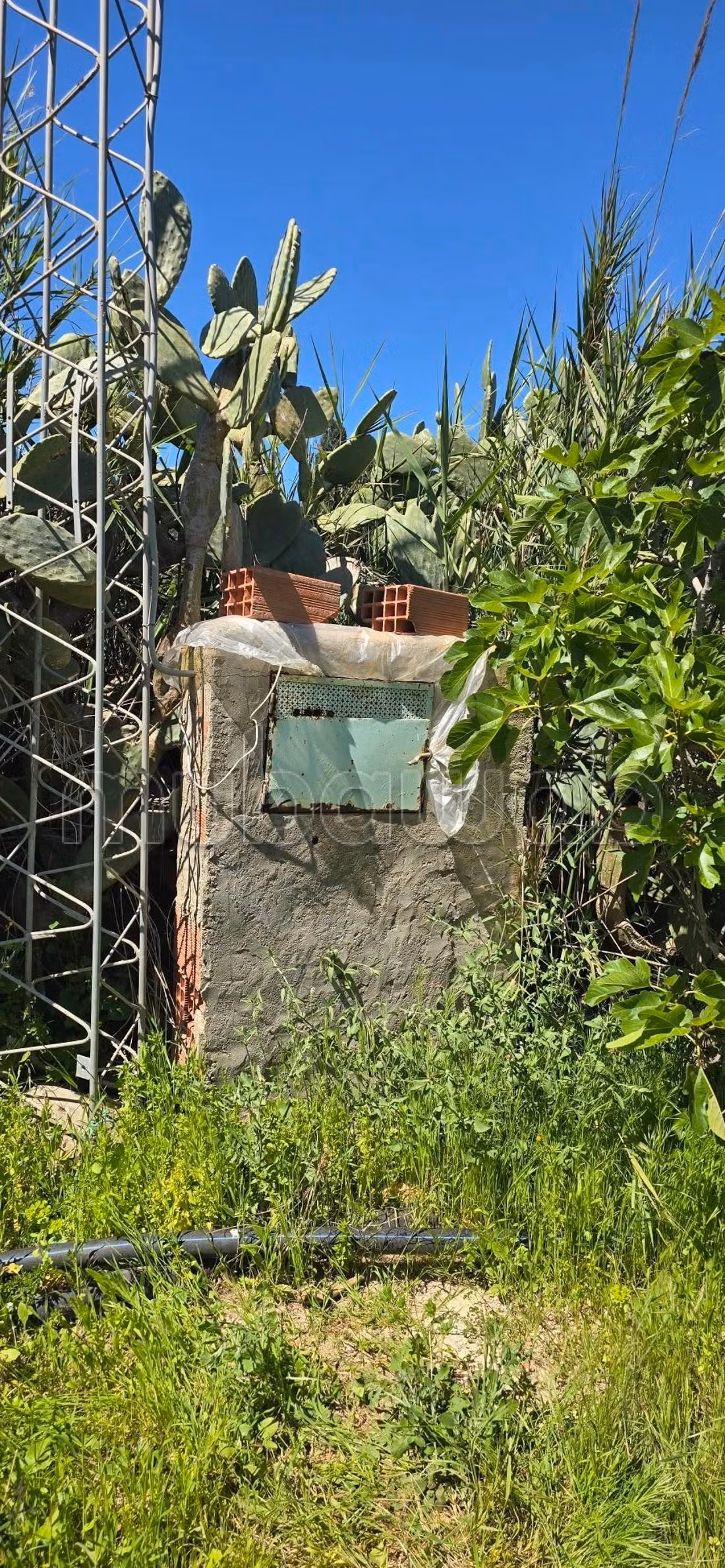In vendita a Nabeul – El knayess, Terreno agricolo