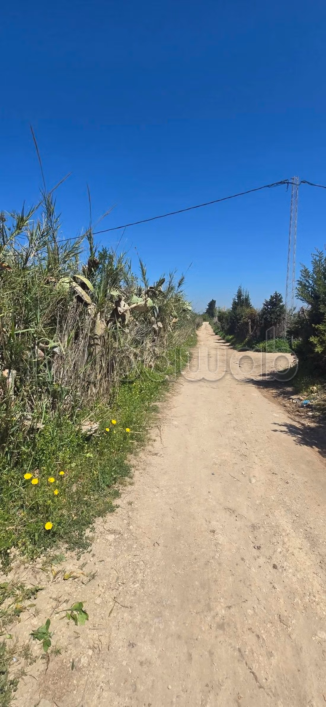 In vendita a Nabeul – El knayess, Terreno agricolo