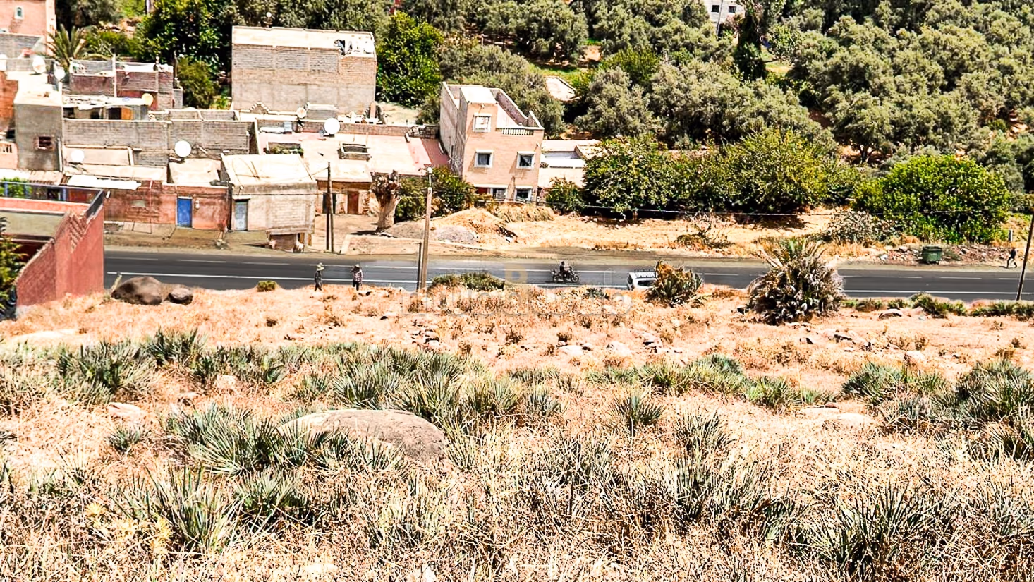 Terreno per Progetto Turistico o Villa