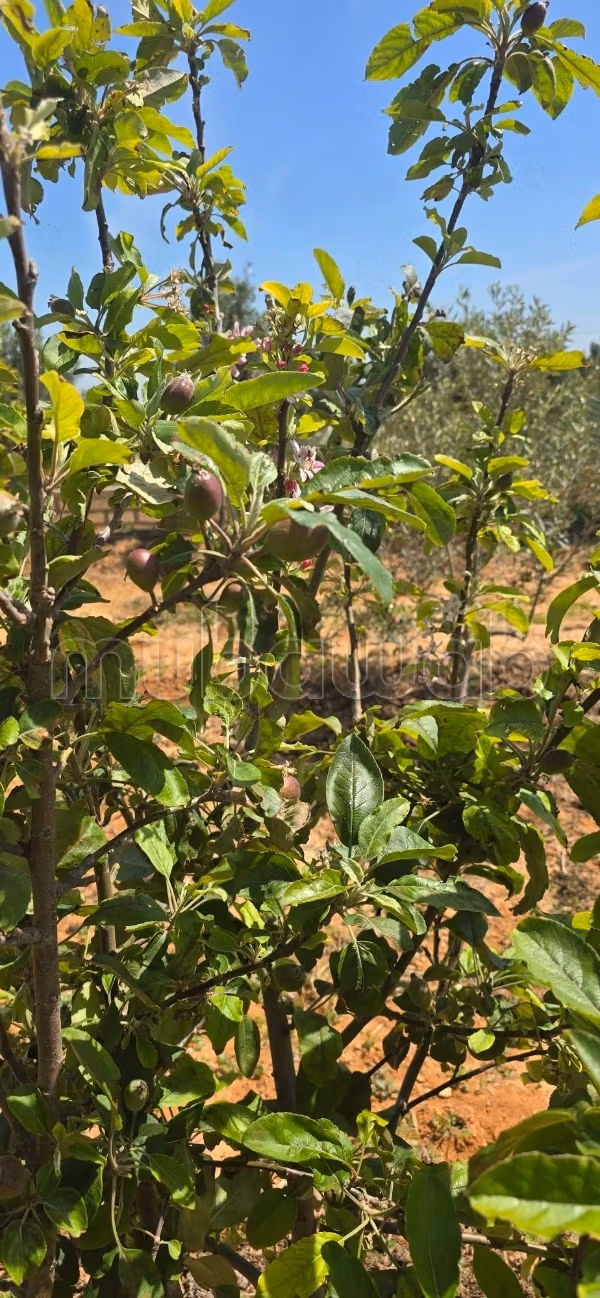 In vendita terreno agricolo eccezionale