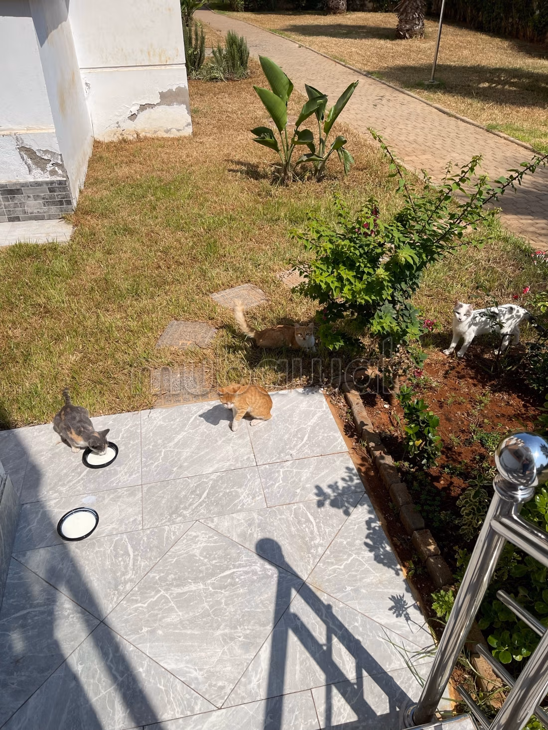 Appartement 92 m² à Al Aalia — 13