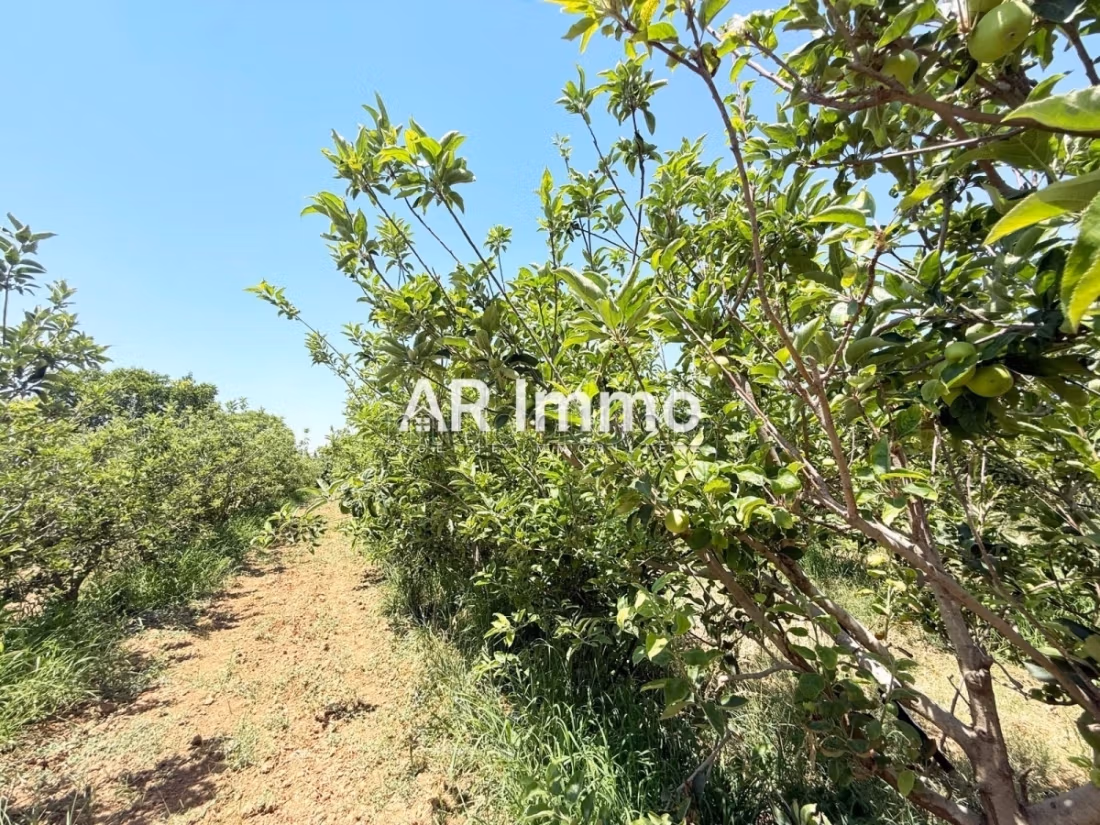 Ferme Agricole Clé en Main de 3 Hectares