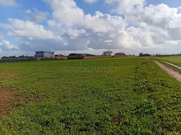 Terrains excellents à vendre à Bair Jadid. La superficie est de 12 000 m²