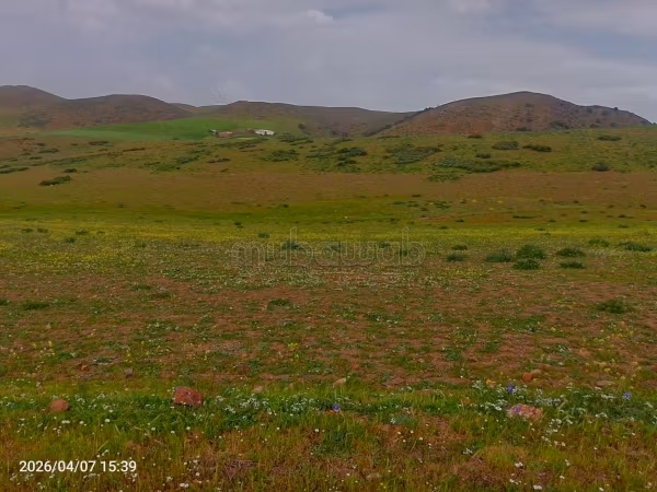 Terreno in vendita a Ain Chock. Superficie di 20.000 m²