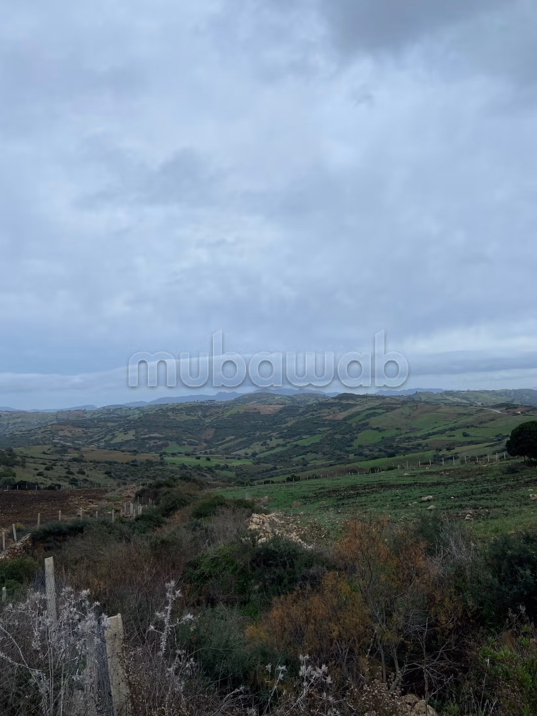 Land for sale in Marchan. Small area 10100 m²