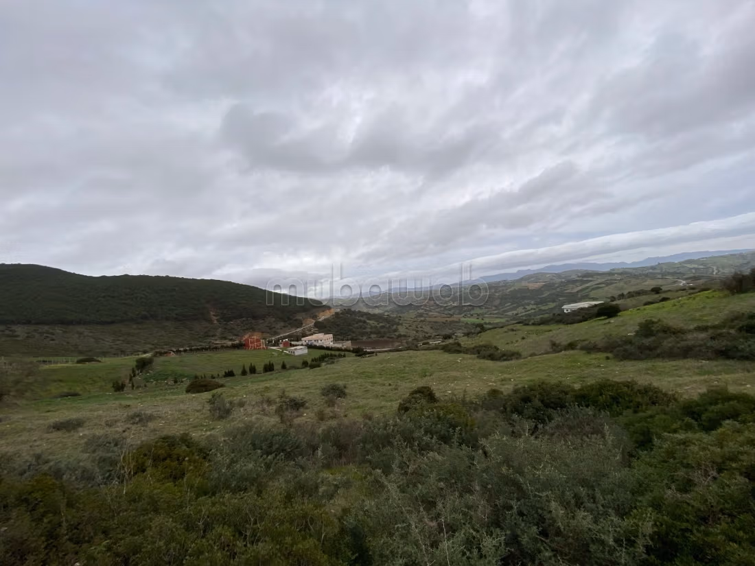 Land for sale in Marchan. Small area 10100 m²
