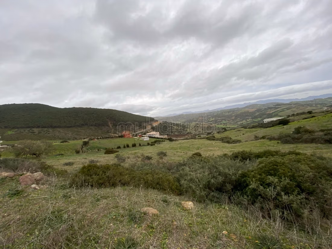 Land for sale in Marchan. Small area 10100 m²