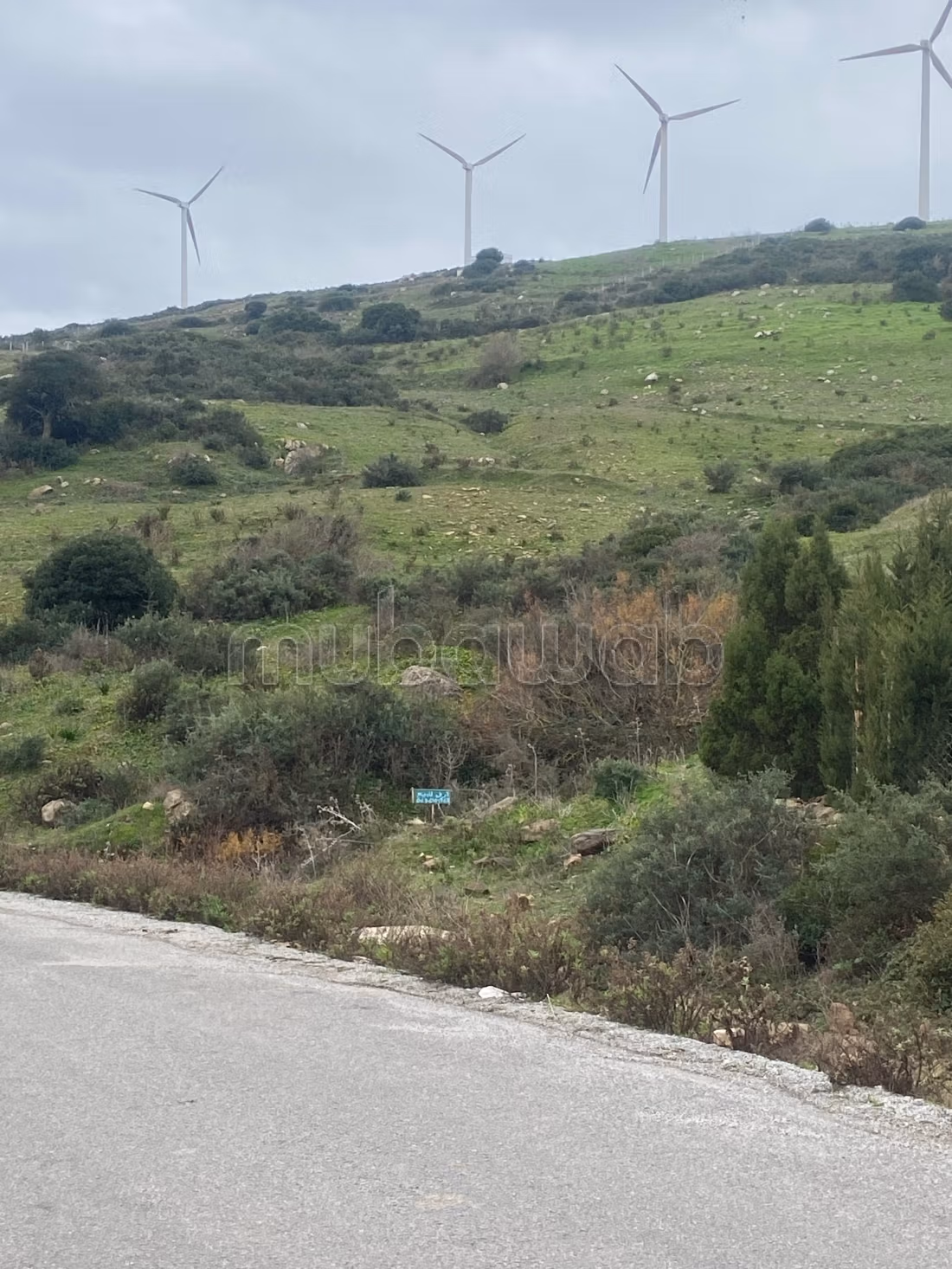 Land for sale in Marchan. Small area 10100 m²