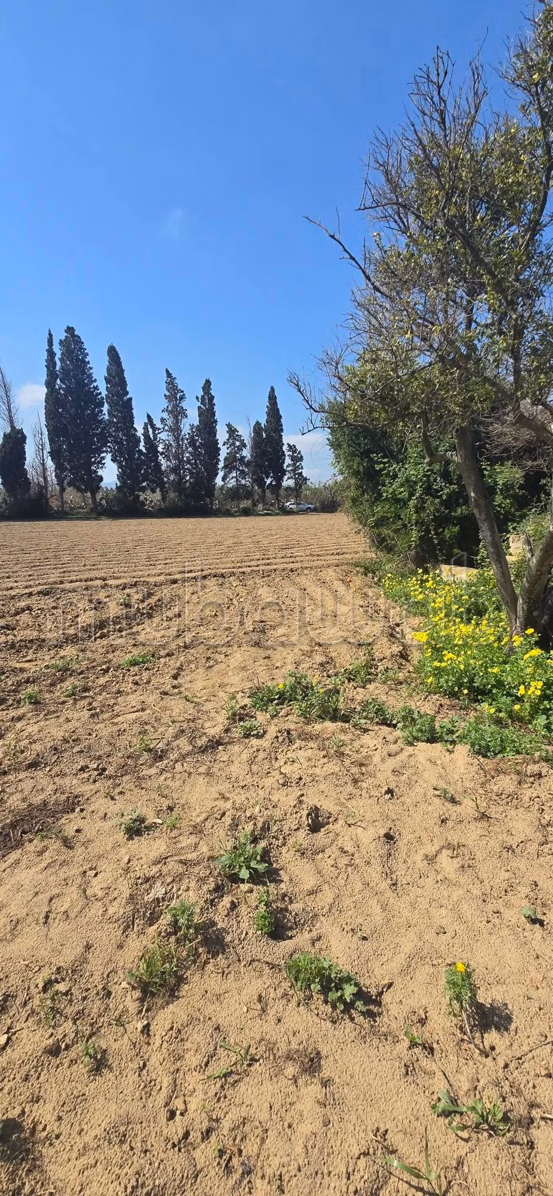 À vendre terrain agricole à hawariet nabeul