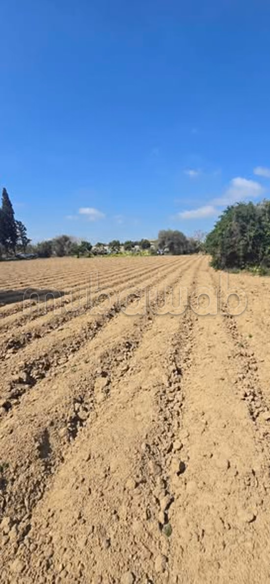À vendre terrain agricole à hawariet nabeul