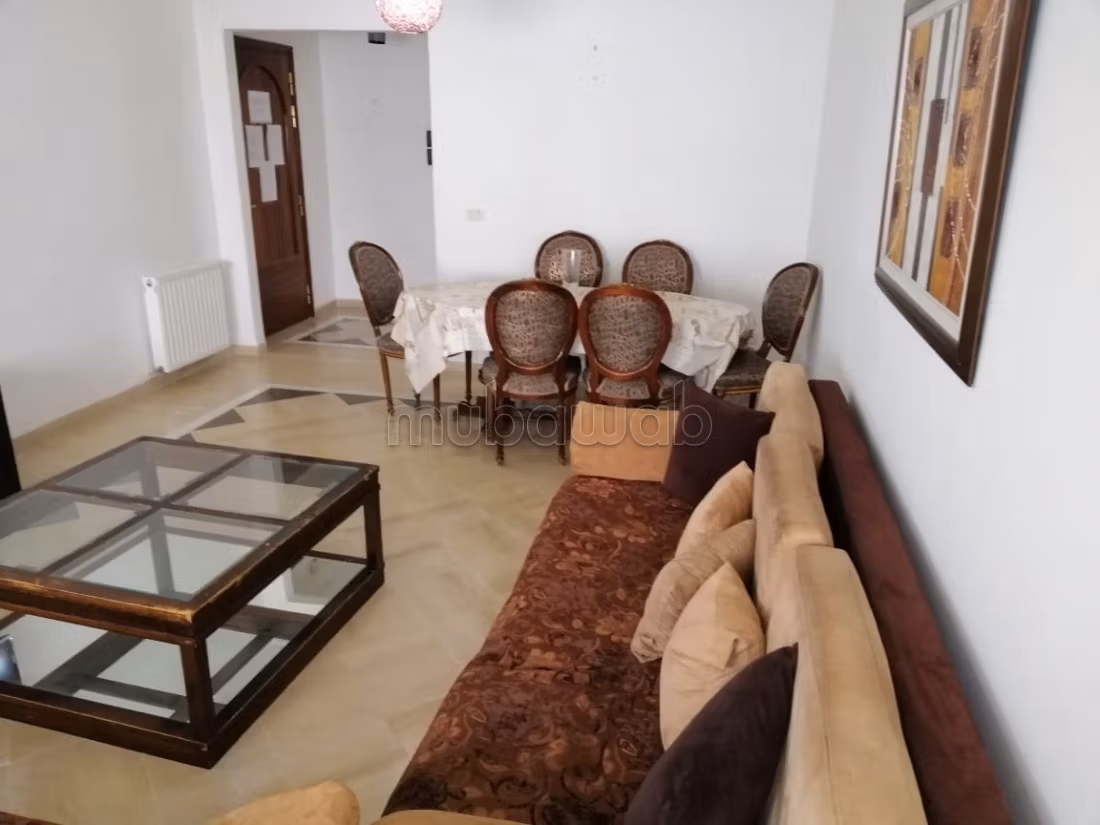 Luxurious 3 bedroom living room apartment for vacations