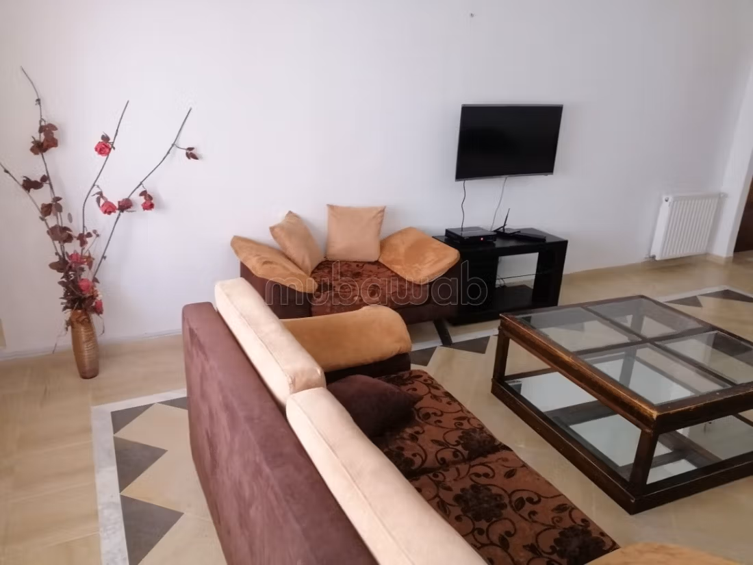 Luxurious 3 bedroom living room apartment for vacations