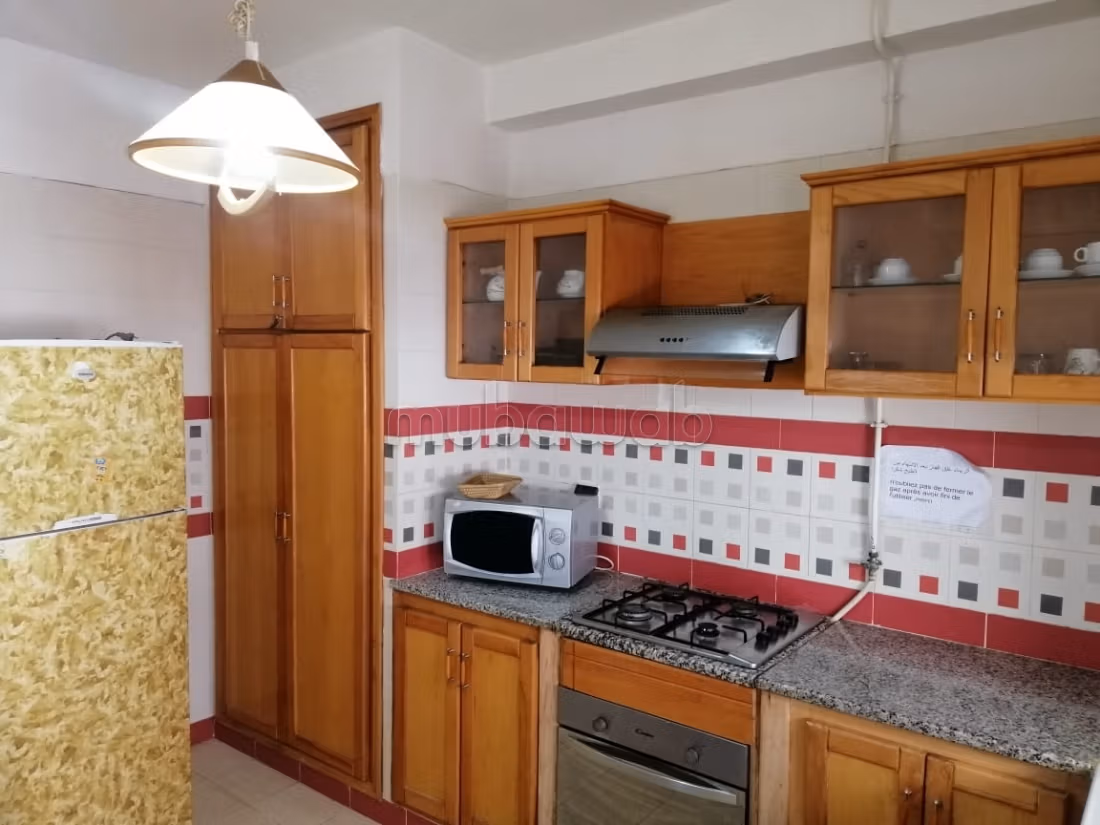 Luxurious 3 bedroom living room apartment for vacations