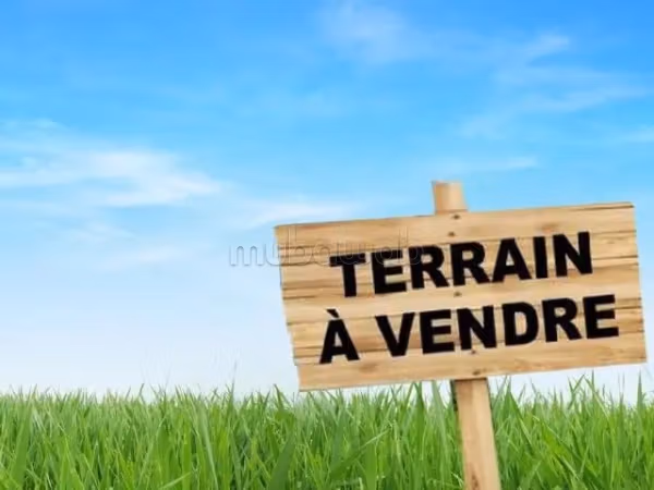 A ne pas rater terrain usage immeuble coeur ariana