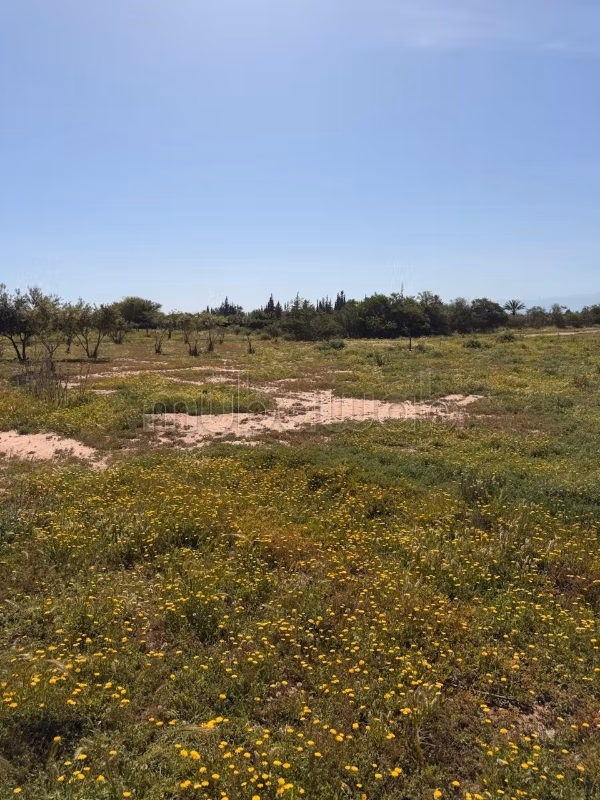 Geregistreerd terrein van 4 ha – Route d'Amizmiz – Atlas-uitzicht