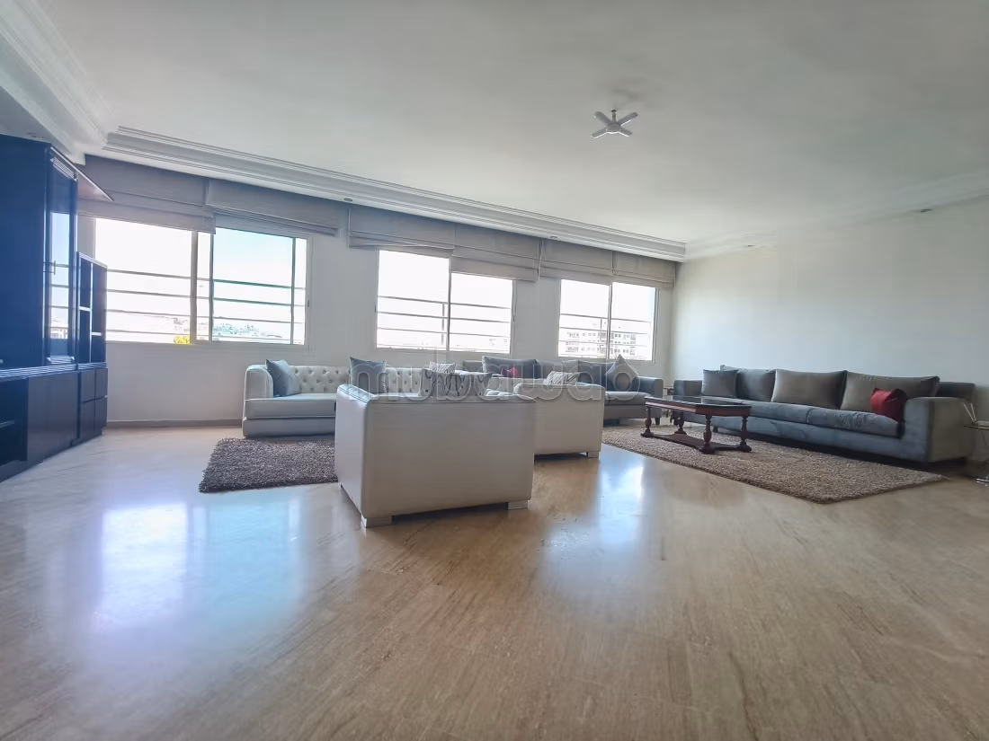 Magnifique appartement à louer proche de Molière 
Palmier — 2