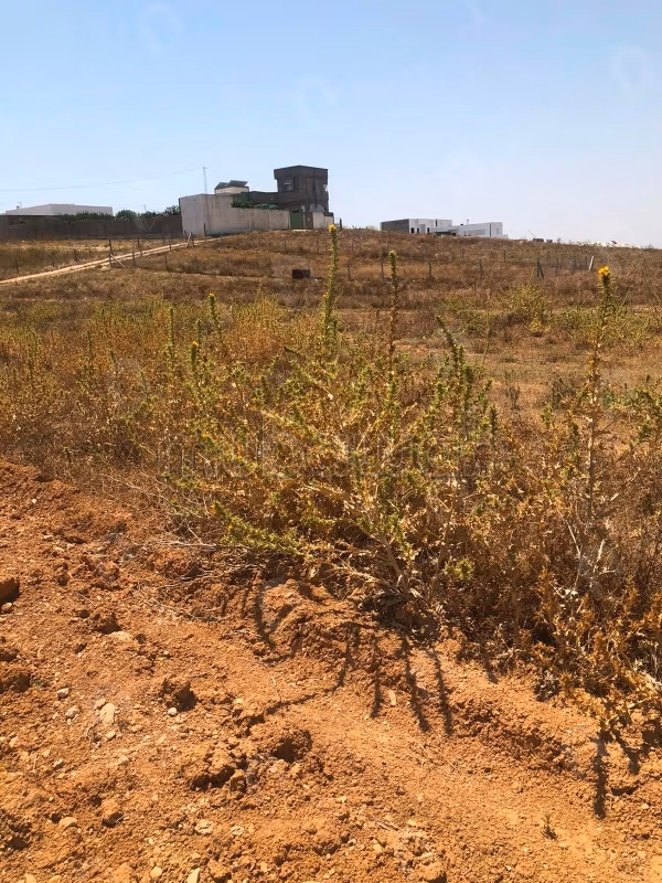 For sale agricultural land
