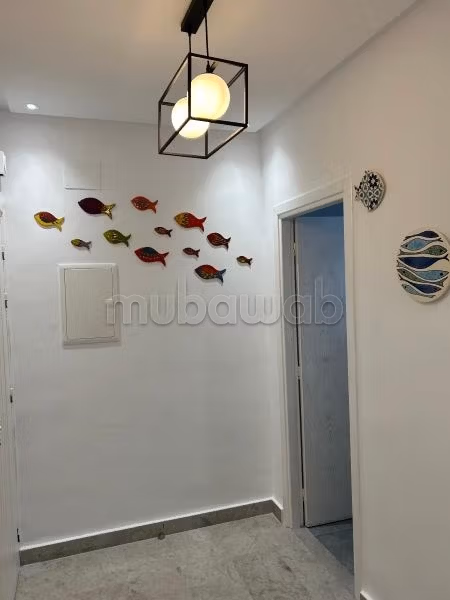 Appartement s1 entièrement rénové