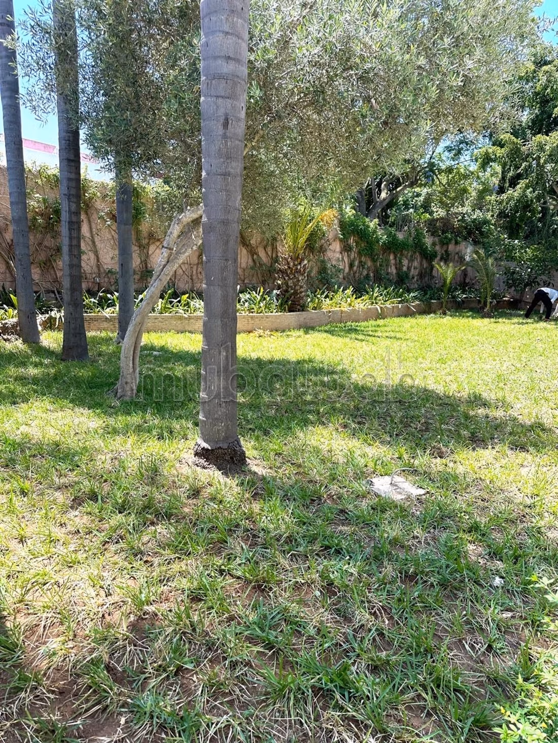 Very beautiful villa for rent in Souissi, Rabat