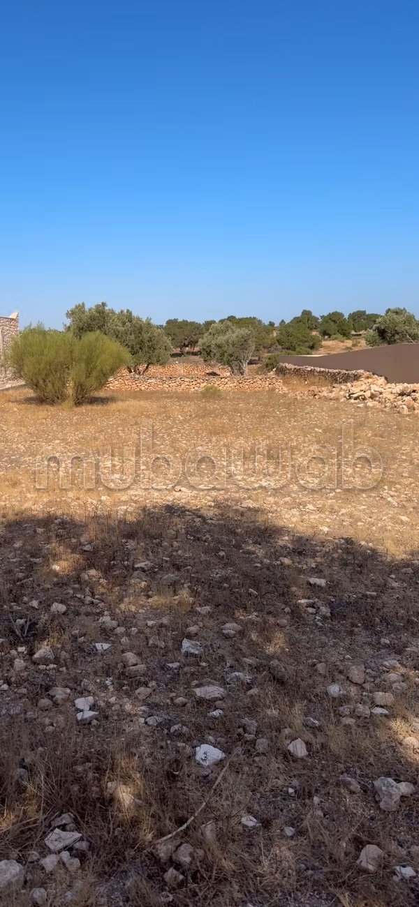 Terrain titré de 4 000 m² à vendre
