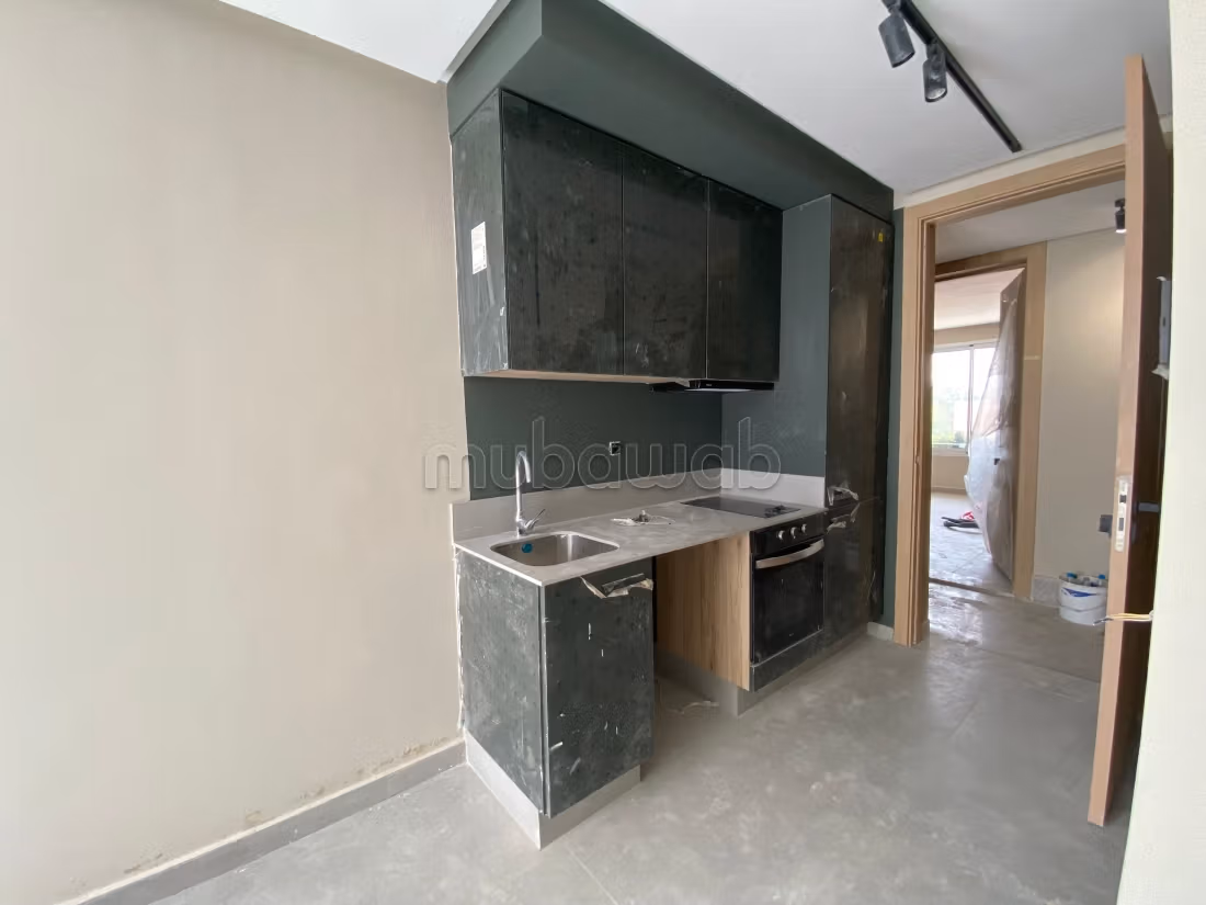 Studio contemporain Oasis