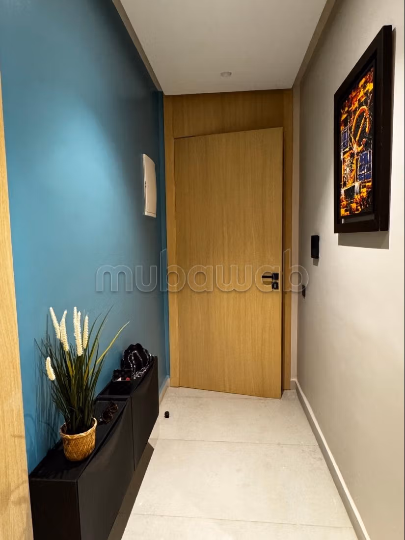 Bellissimo studio in affitto all'Oasi