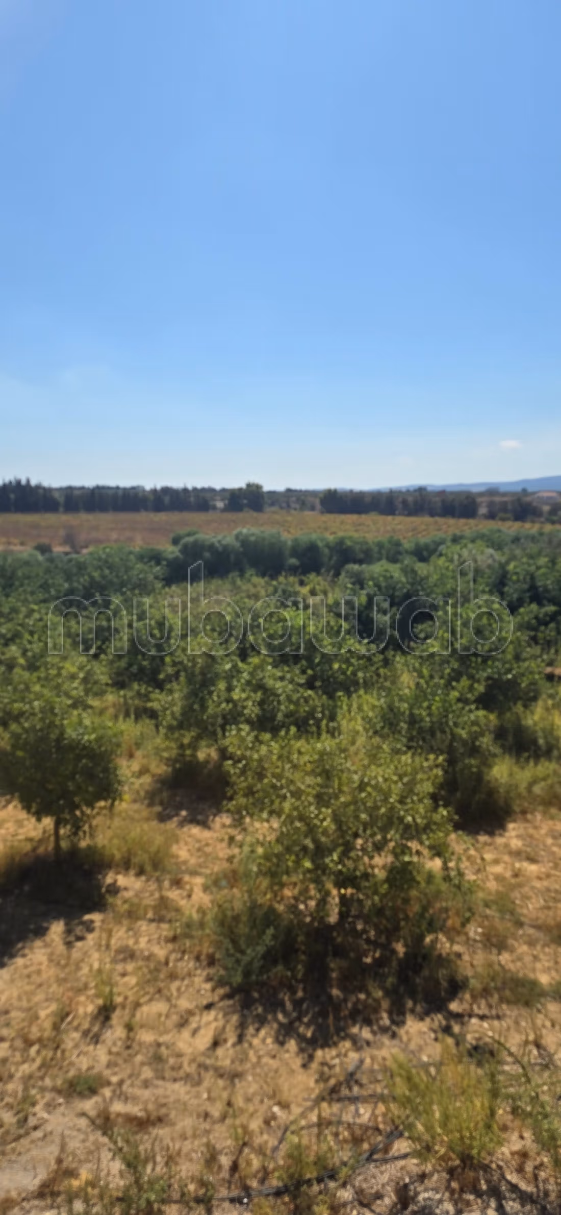 À vendre propriété agricole a elkharouba