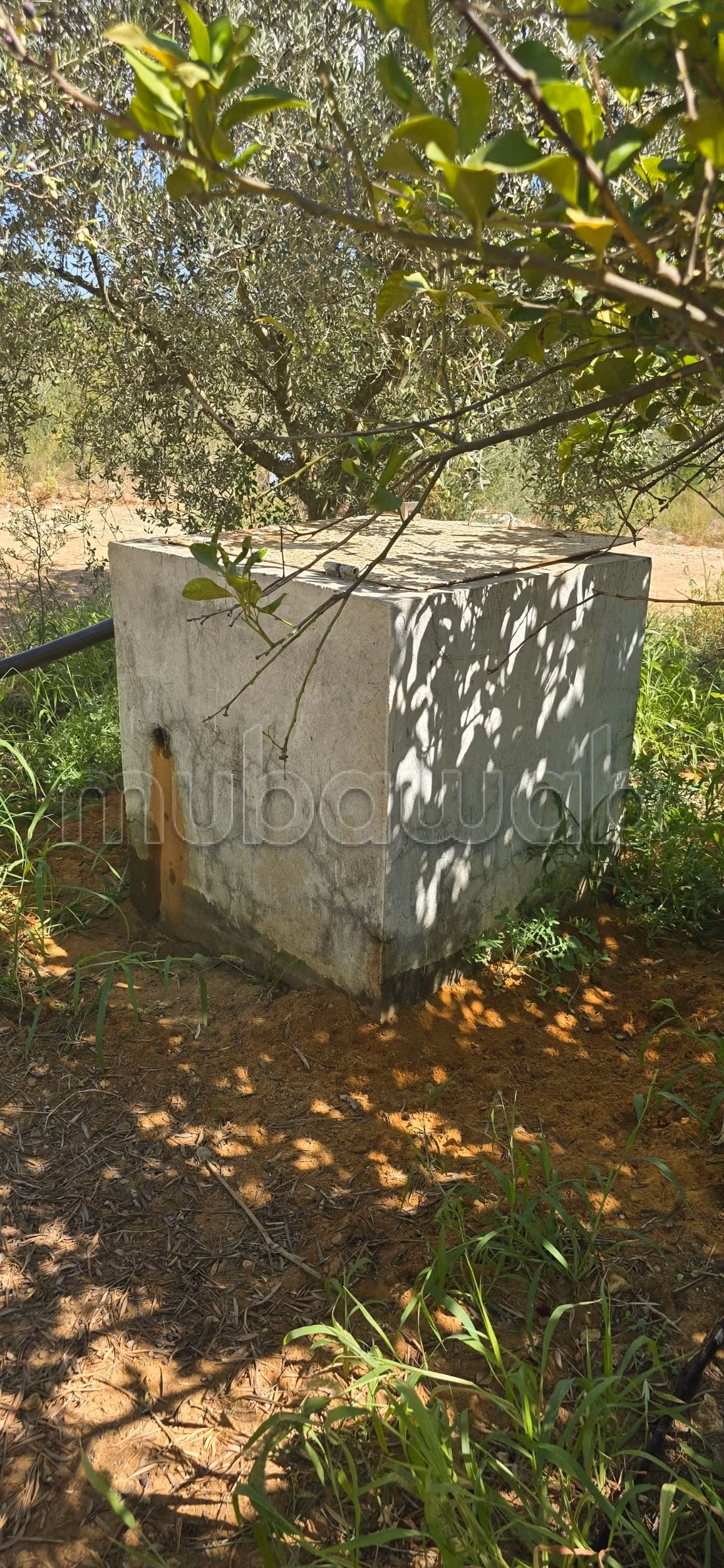 À vendre propriété agricole a elkharouba