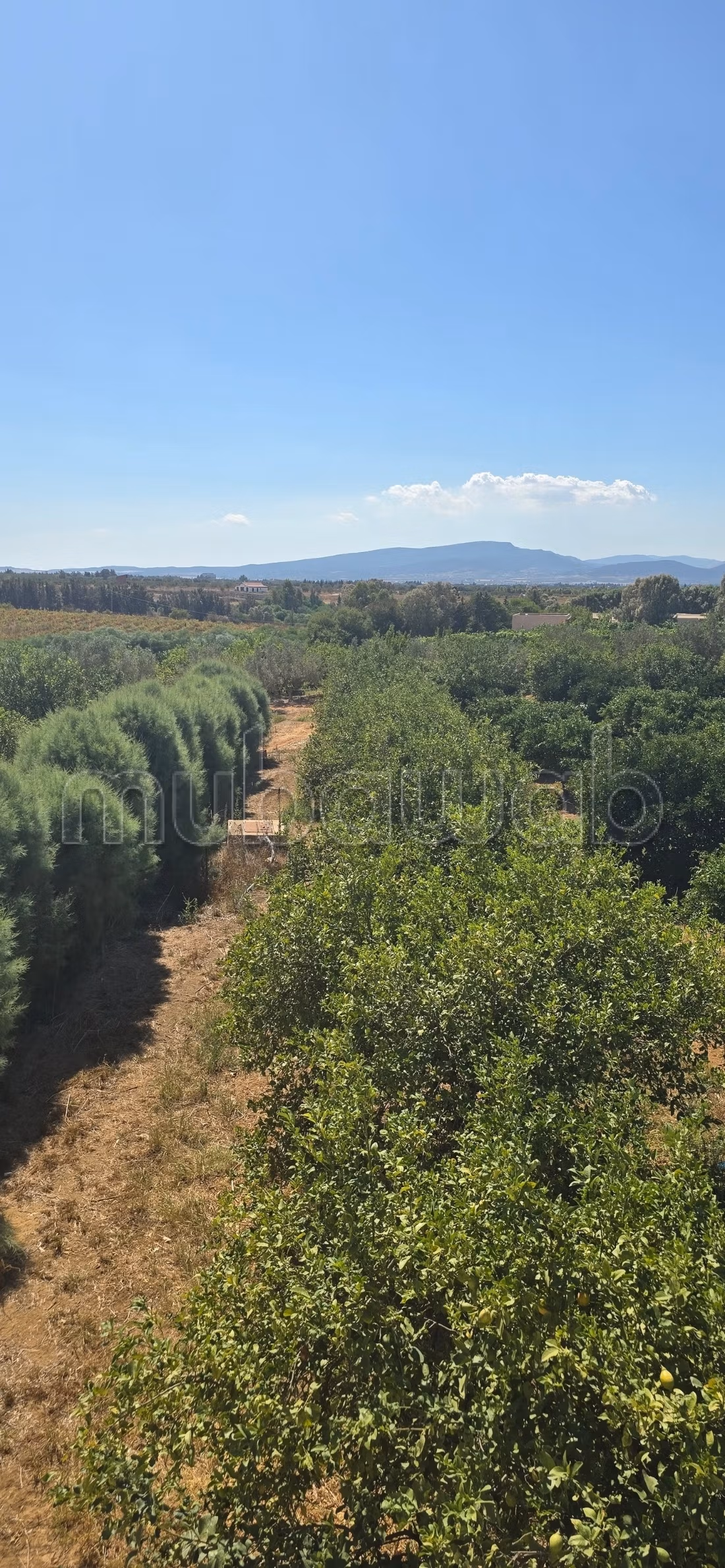 À vendre propriété agricole a elkharouba