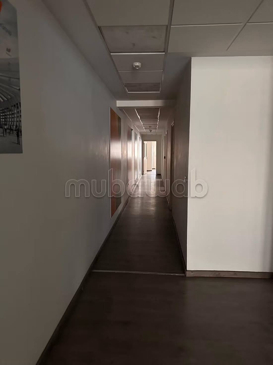 Bureau Professionnel Premium 239 m² à vendre – Avenue Mohammed V, Tanger