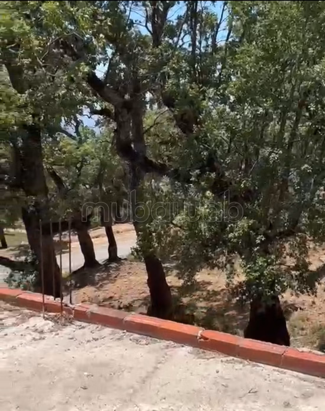 Amanti della natura, terreno di 800m2 e nuova casa a MoulayAbdeslam