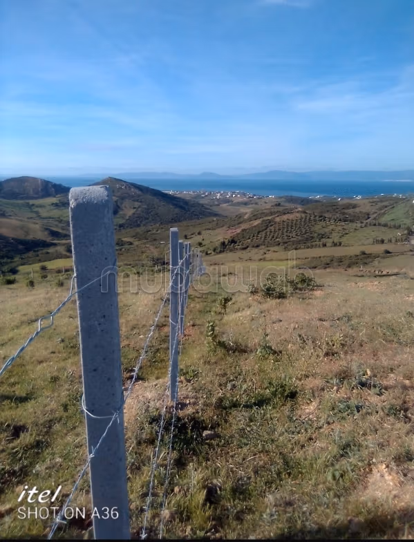 Beau terrain à la vente à Tanja Balia.
Surface de 1500 m²