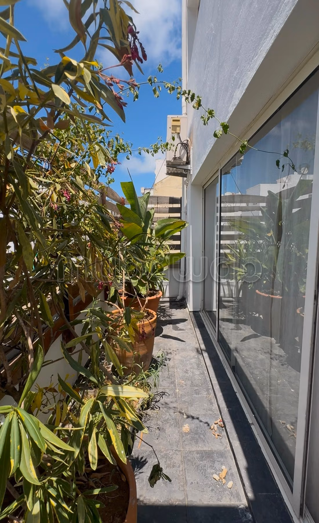 À louer – Magnifique duplex de 400 m² – Racine — 4