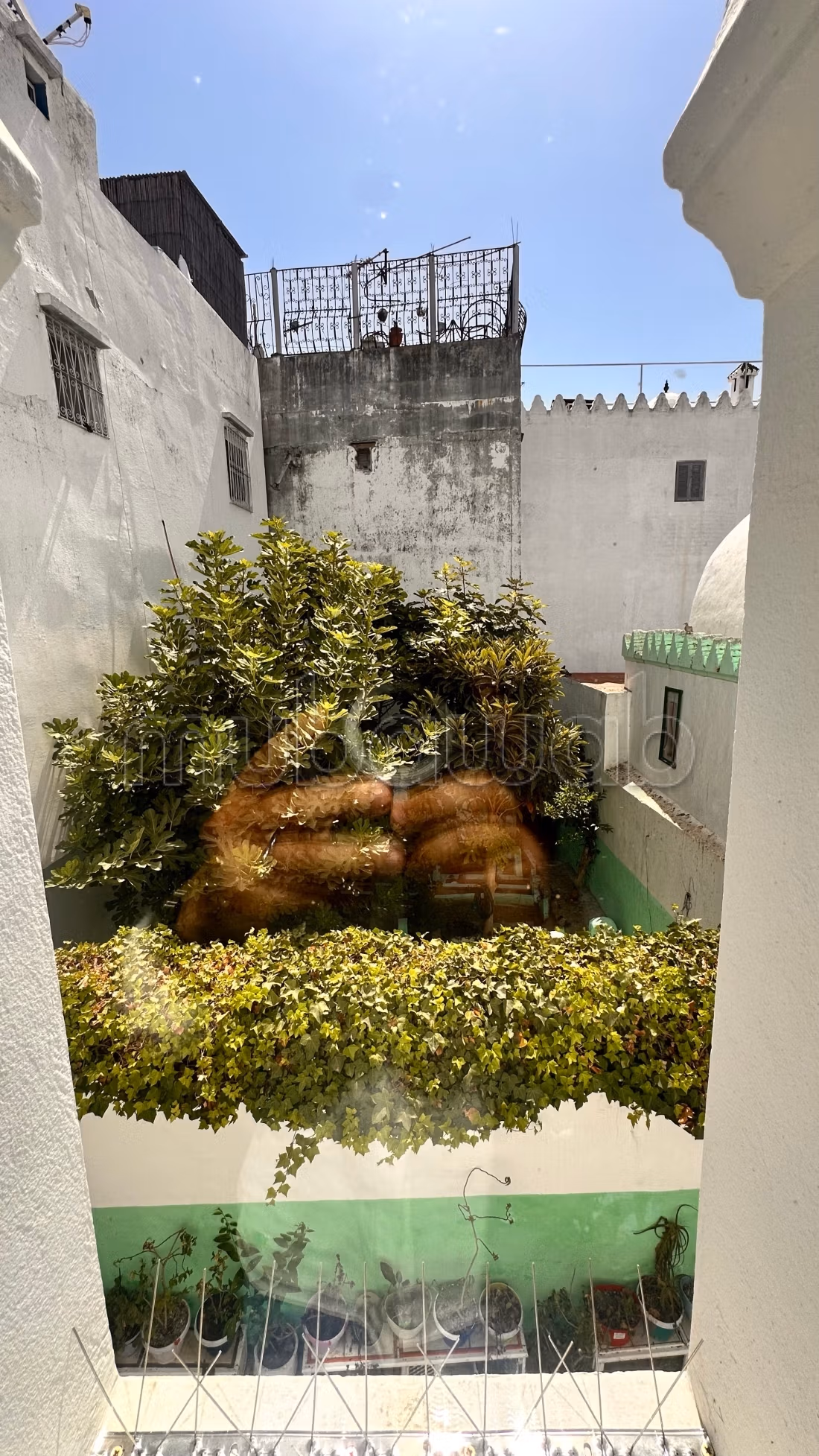 فيلا 300 م² في Médina — 8