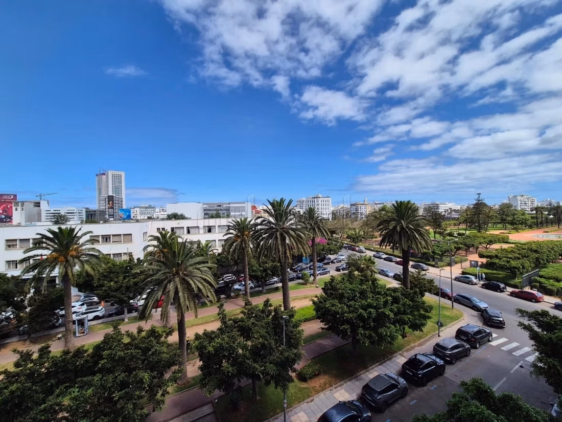 Appartement meublé face au parc