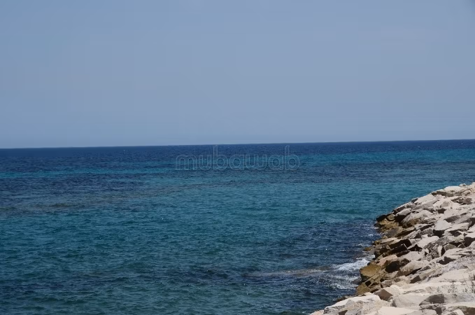 FORSSA – Terrain à vendre à Kerkouane