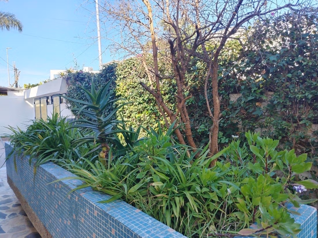 Se alquila Villa de 400m2 comercial Franceville