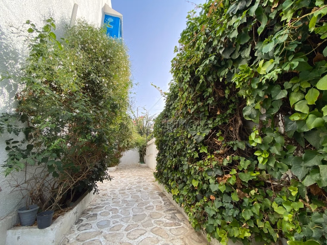 In Affitto Villa S6 su due livelli con piscina
